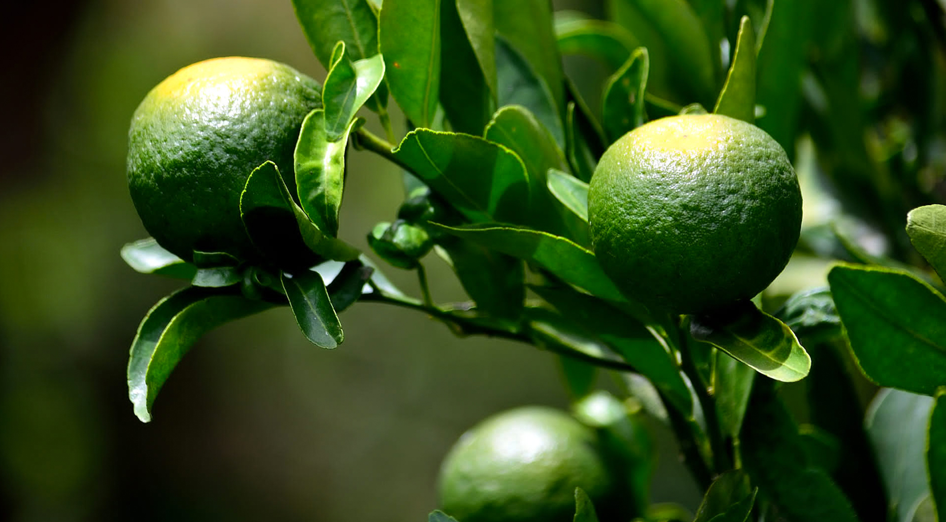 pp电子·(中国)官方网站