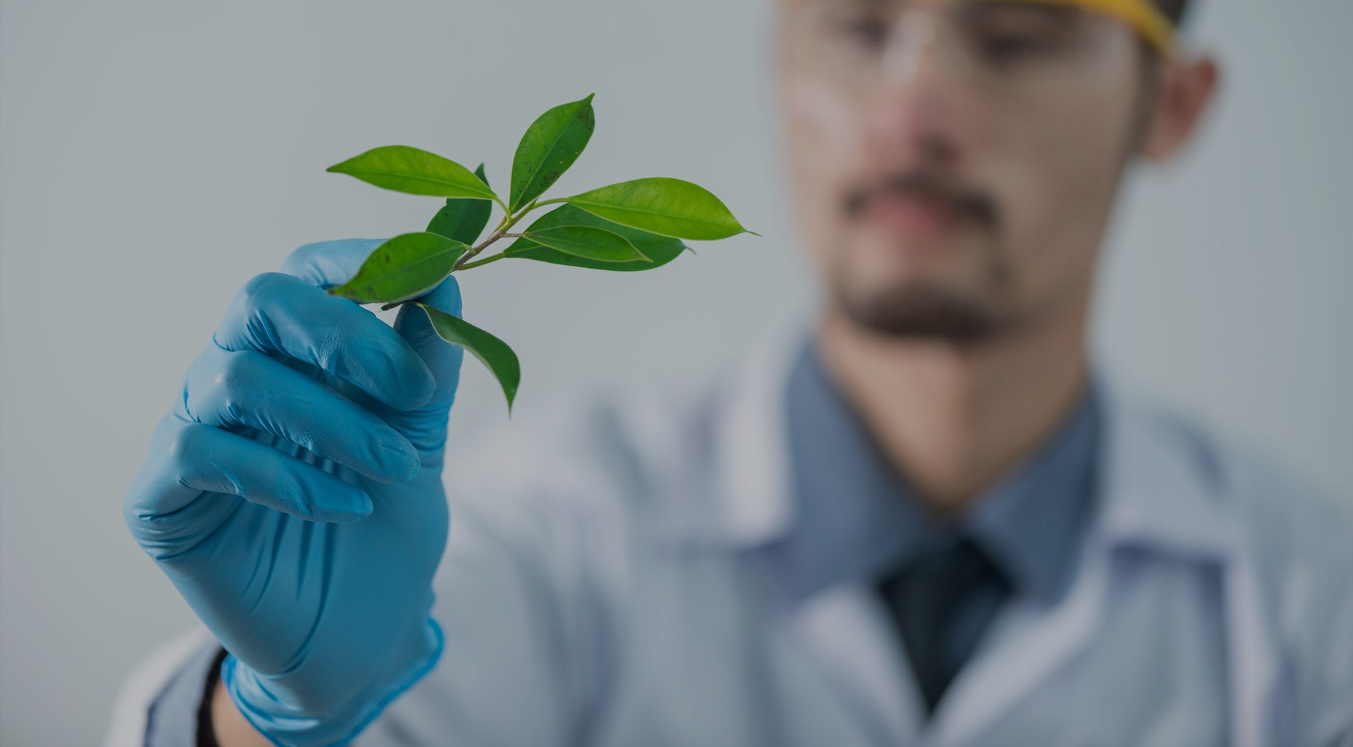 pp电子·(中国)官方网站