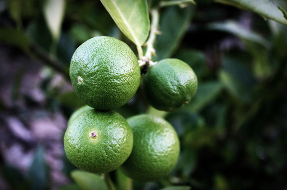 pp电子·(中国)官方网站