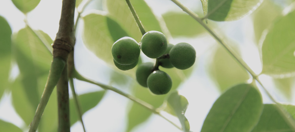 pp电子·(中国)官方网站