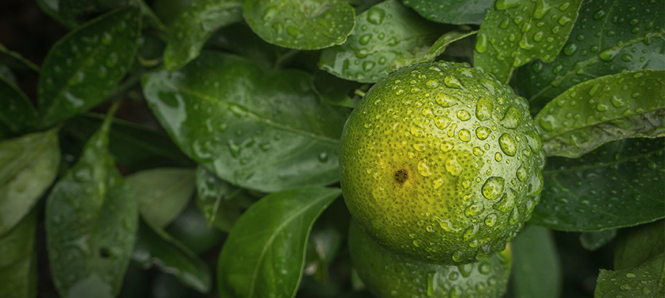 pp电子·(中国)官方网站